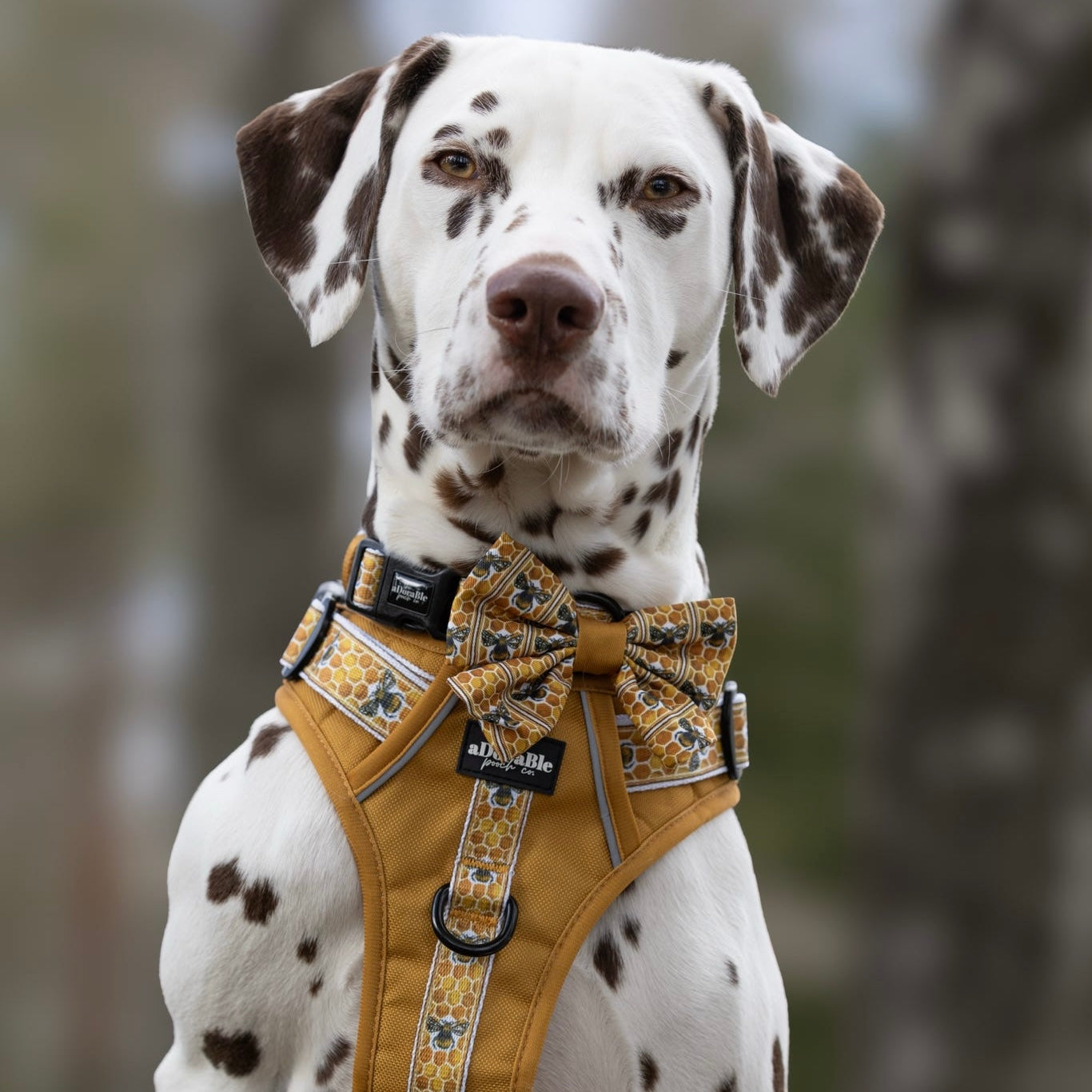 Hike & Go™ Harness - Honeycomb Hive - Large - SECONDS