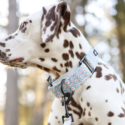 Martingale Collar - Oopsy Daisy