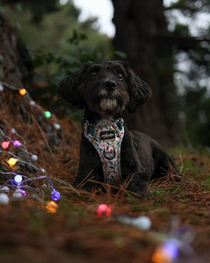 Hike & Go Lite™ Harness - Festive Lights