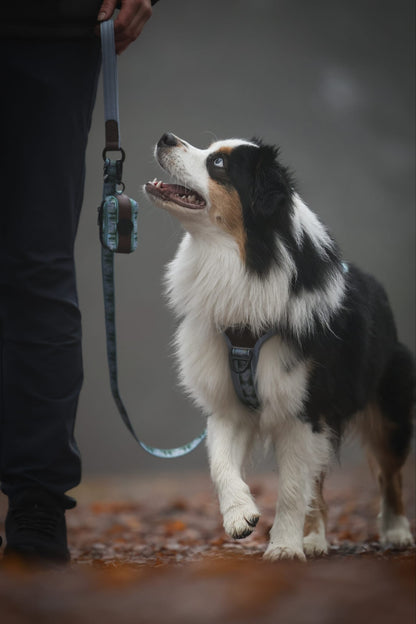 Streamline Pro™ Dog Harness - Daydream Heights