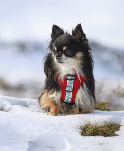 Hike & Go™ Harness - Garlands Of Evergreen