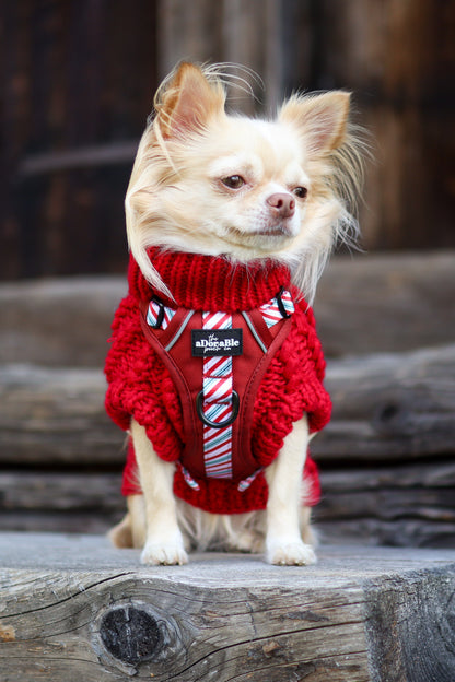 Hand Knitted Dachshund Jumper - Berry Red