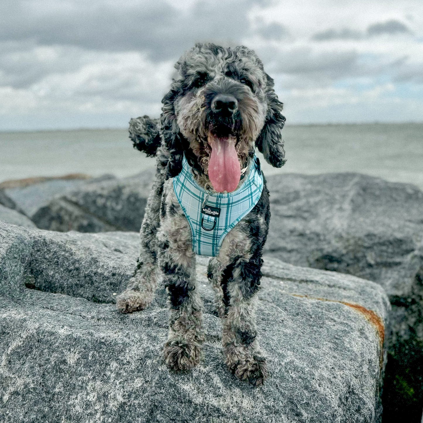 Adjustable Harness - LUXE Frosted Mint Plaid