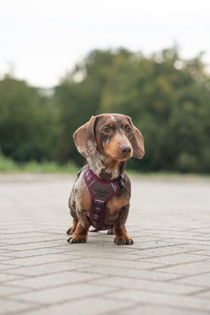 Streamline Pro™ Dog Harness - Heritage Collection - Merlot Manor