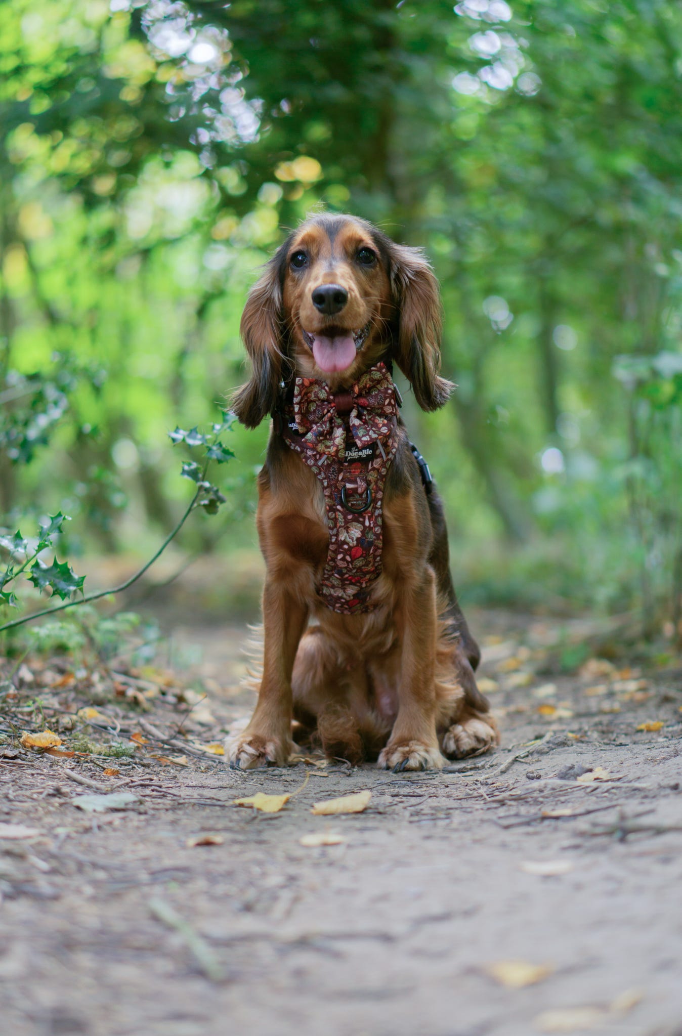 Hike & Go™ Harness - Foragers Forest