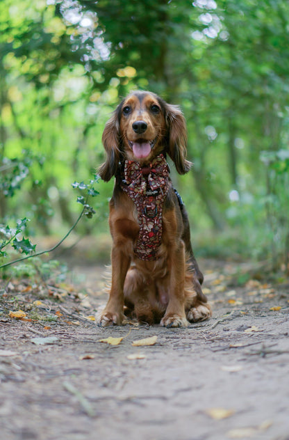 Hike & Go™ Harness - Foragers Forest