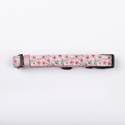 Dog Collar - Blushing Blossoms