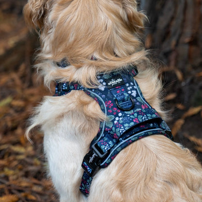 Hike & Go Lite™ Harness - Bramble Berry