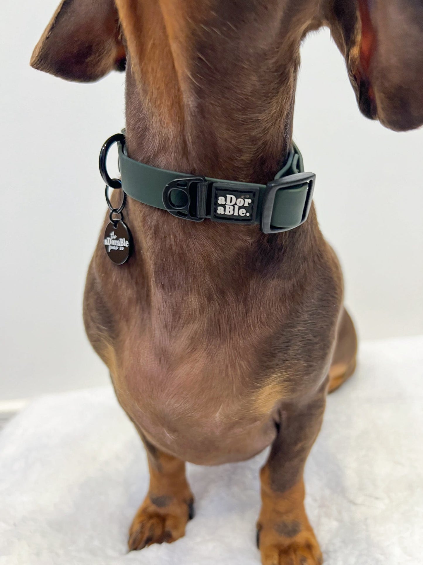 HydroFlex Lite™ Dog Collar - Evergreen