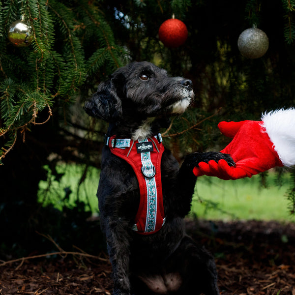 Hike & Go™ Harness - Garlands Of Evergreen