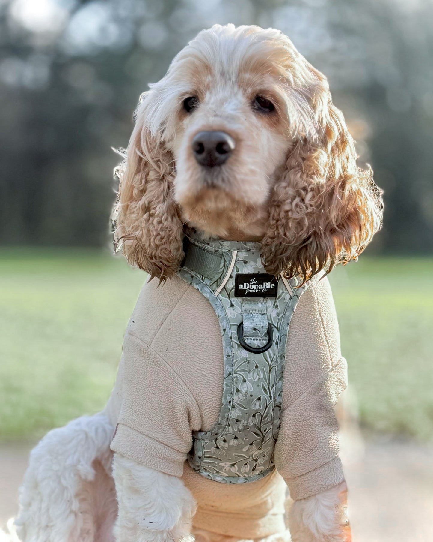 Hike & Go Lite™ Harness - Silent Snowdrops