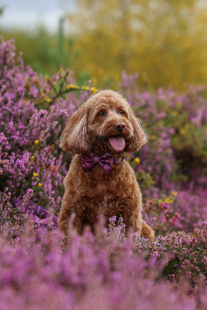 Bow Tie - Highland Heather