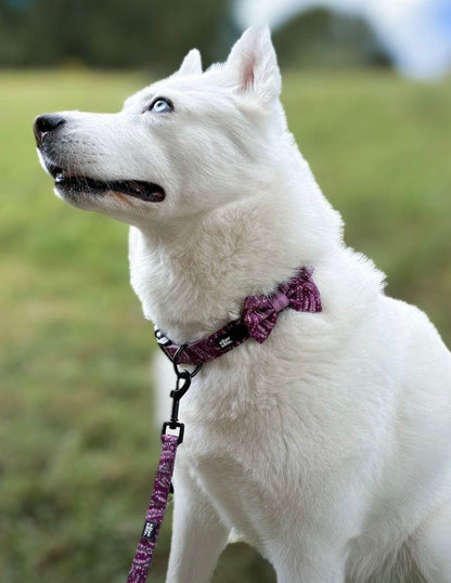 Bow Tie - Highland Heather