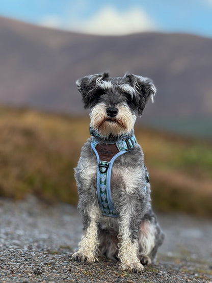 Streamline Pro™ Dog Harness - Daydream Heights