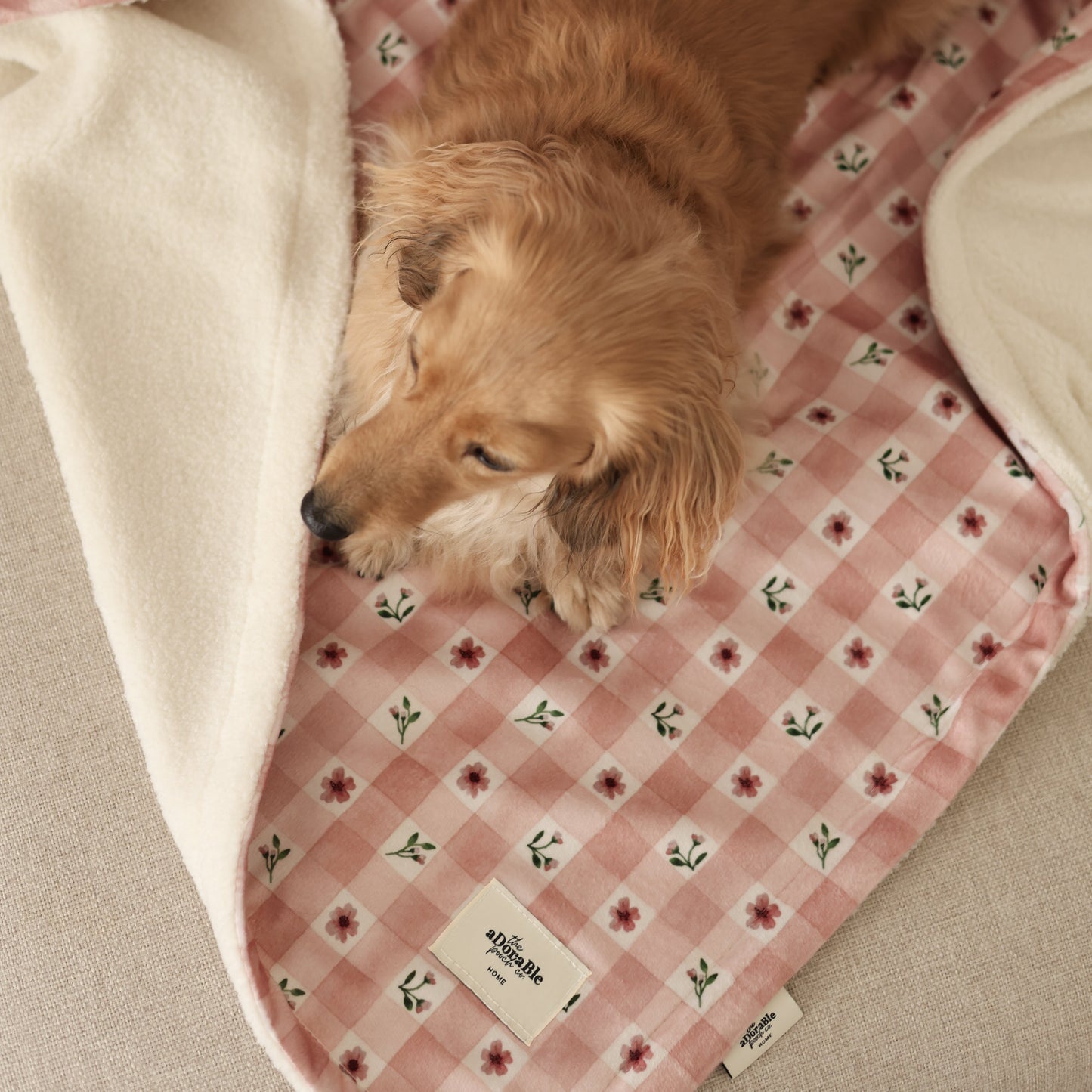 Dog lying on a pink checkered blanket with floral patterns