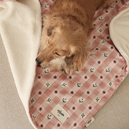 Dog lying on a pink checkered blanket with floral patterns