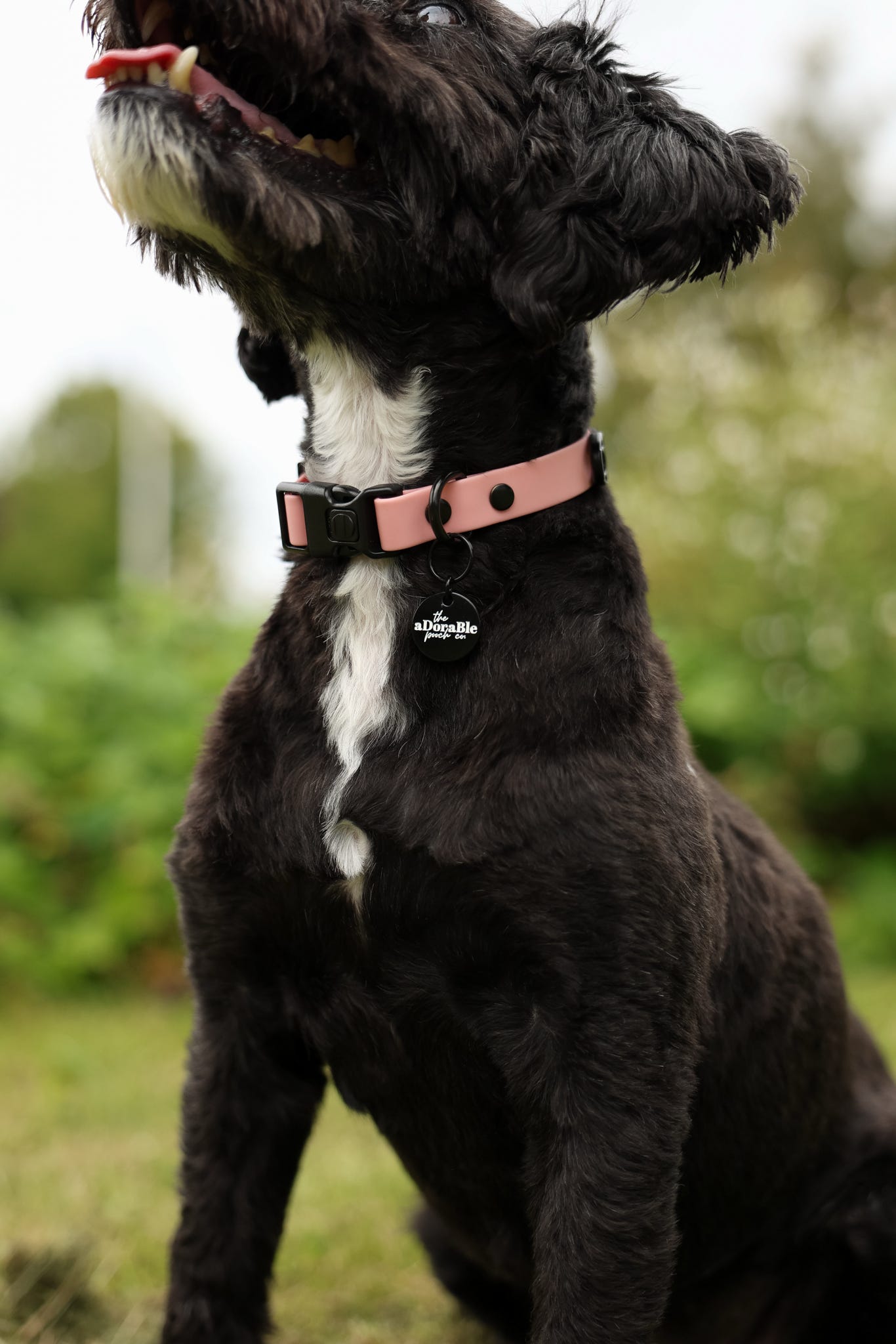 HydroFlex Lite™ Dog Collar - Marshmallow Pink