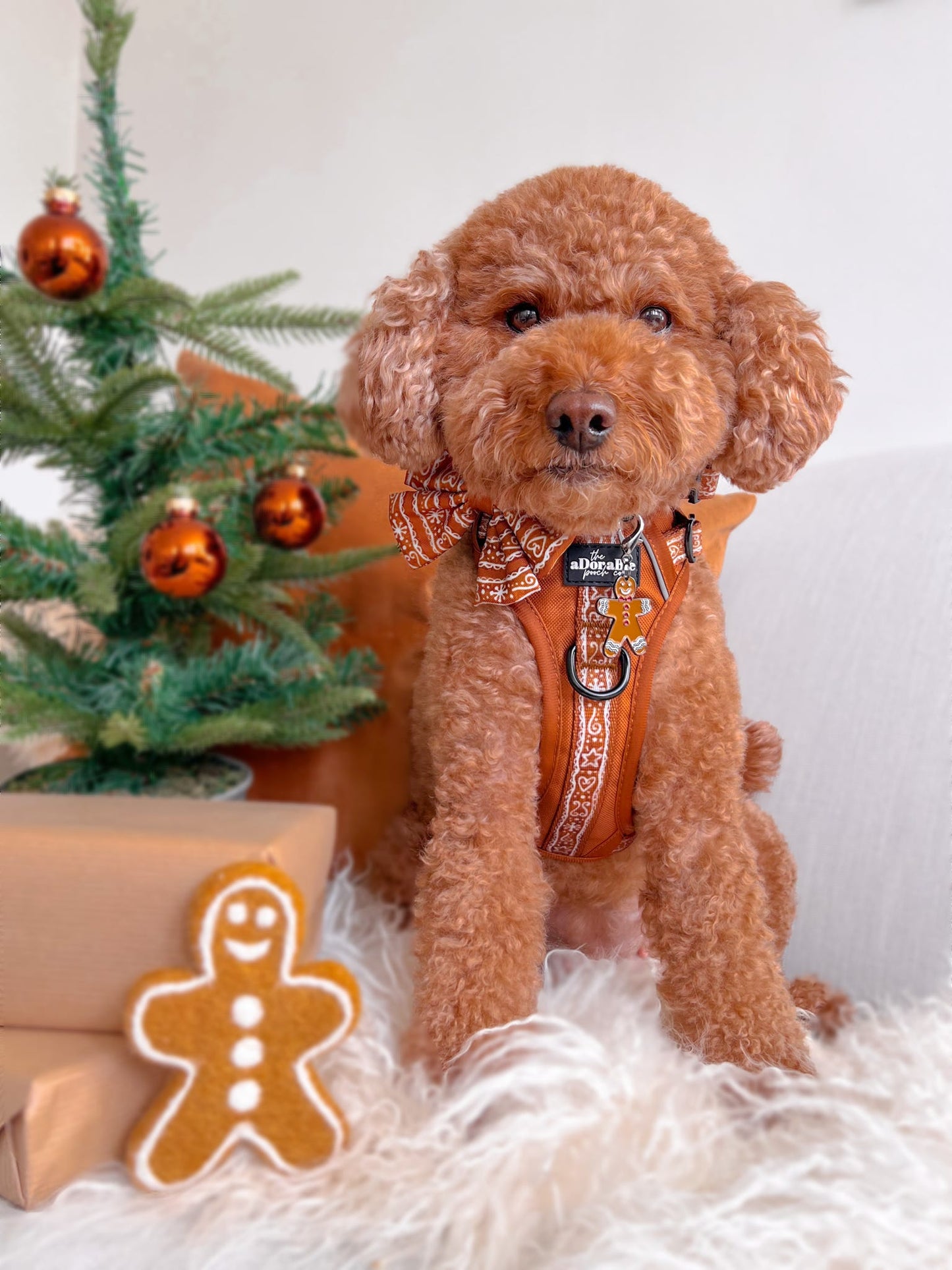 Hike & Go™ Harness - Gingerbread Frosting