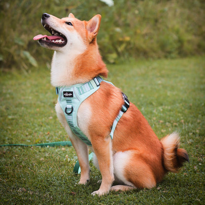 Hike & Go™ Harness - Hint Of Mint