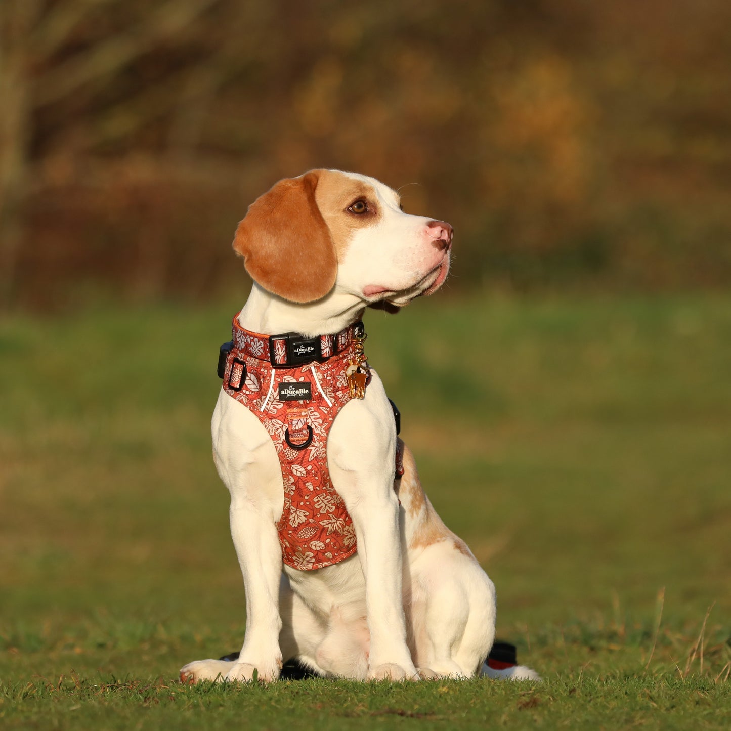 Hike & Go™ Harness - Falling For You
