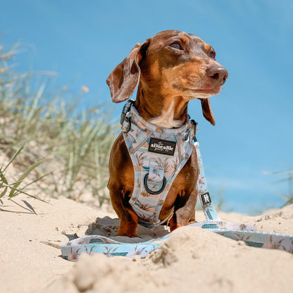 Hike & Go Lite™ Harness - Coastal Beach Grass