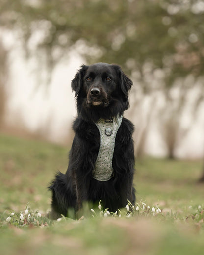 Hike & Go Lite™ Harness - Silent Snowdrops