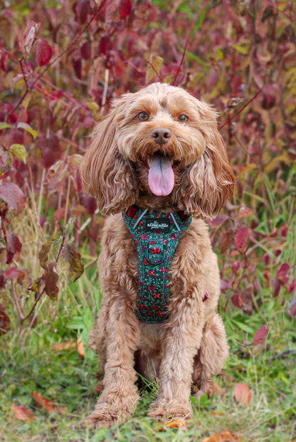 Hike & Go Lite™ Harness - Holly & Ivy