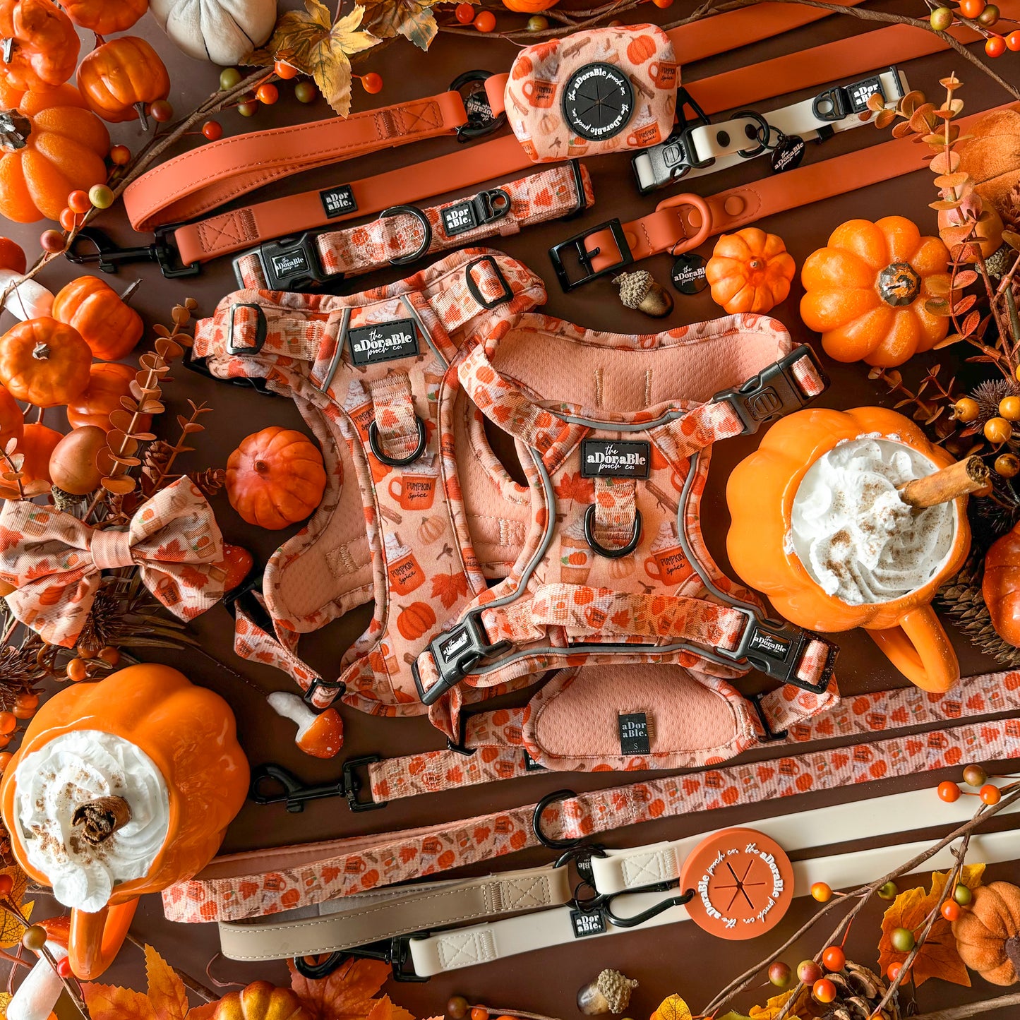 Hike & Go Lite™ Harness - Pumpkin Harvest