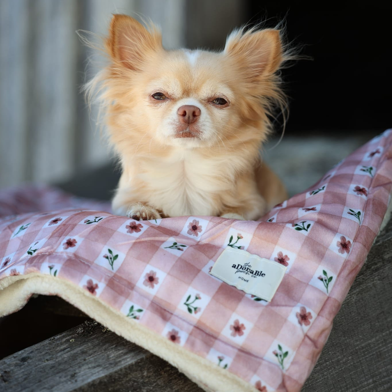 Dog & Puppy Bed Blanket - Blushing Blossoms