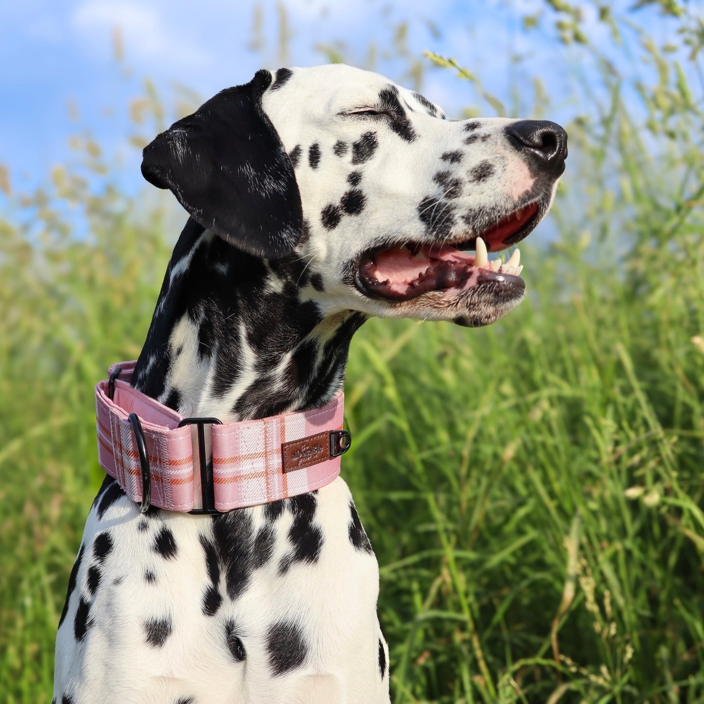 Heritage Martingale Collar - Strawberry Cottage