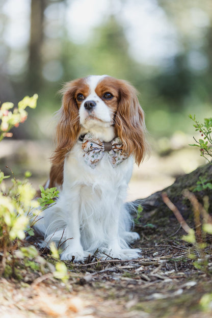 Dog Sailor Bow Tie - Cotswold Cottage