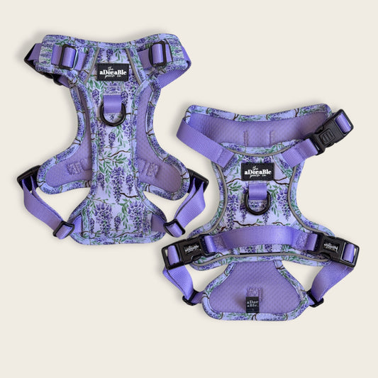 Hike & Go Lite™ Harness - Wisteria Waltz