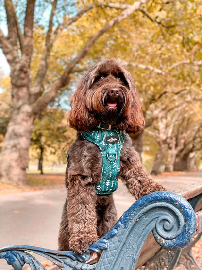 Hike & Go™ Harness - Woodland Walks - XL