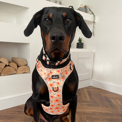 Hike & Go Lite™ Harness - Delicate Daffodils