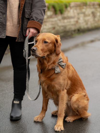 Laura Ashley Dog Sailor Bow Tie - Sweet Alyssum