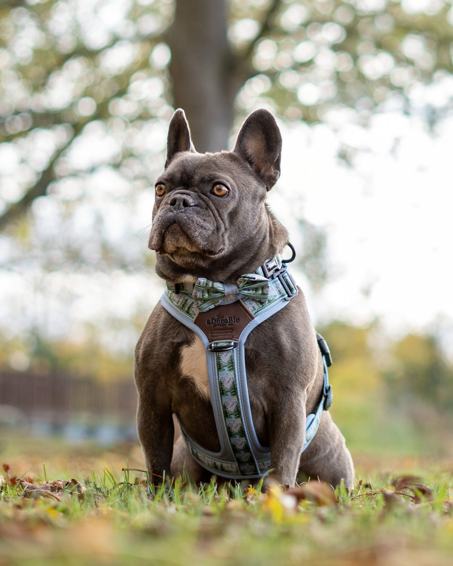 Streamline Pro™ Dog Harness - Daydream Heights