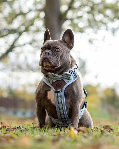 Streamline Pro™ Dog Harness - Daydream Heights