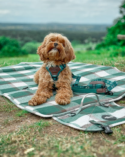 Heritage Luxe Travel / Settle Mat - Pheasant Green (seconds)