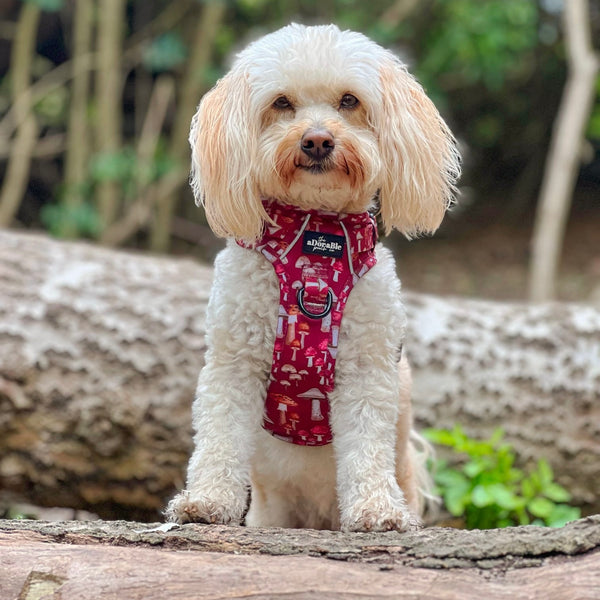 Hike & Go Lite™ Harness - Mulberry Mushrooms