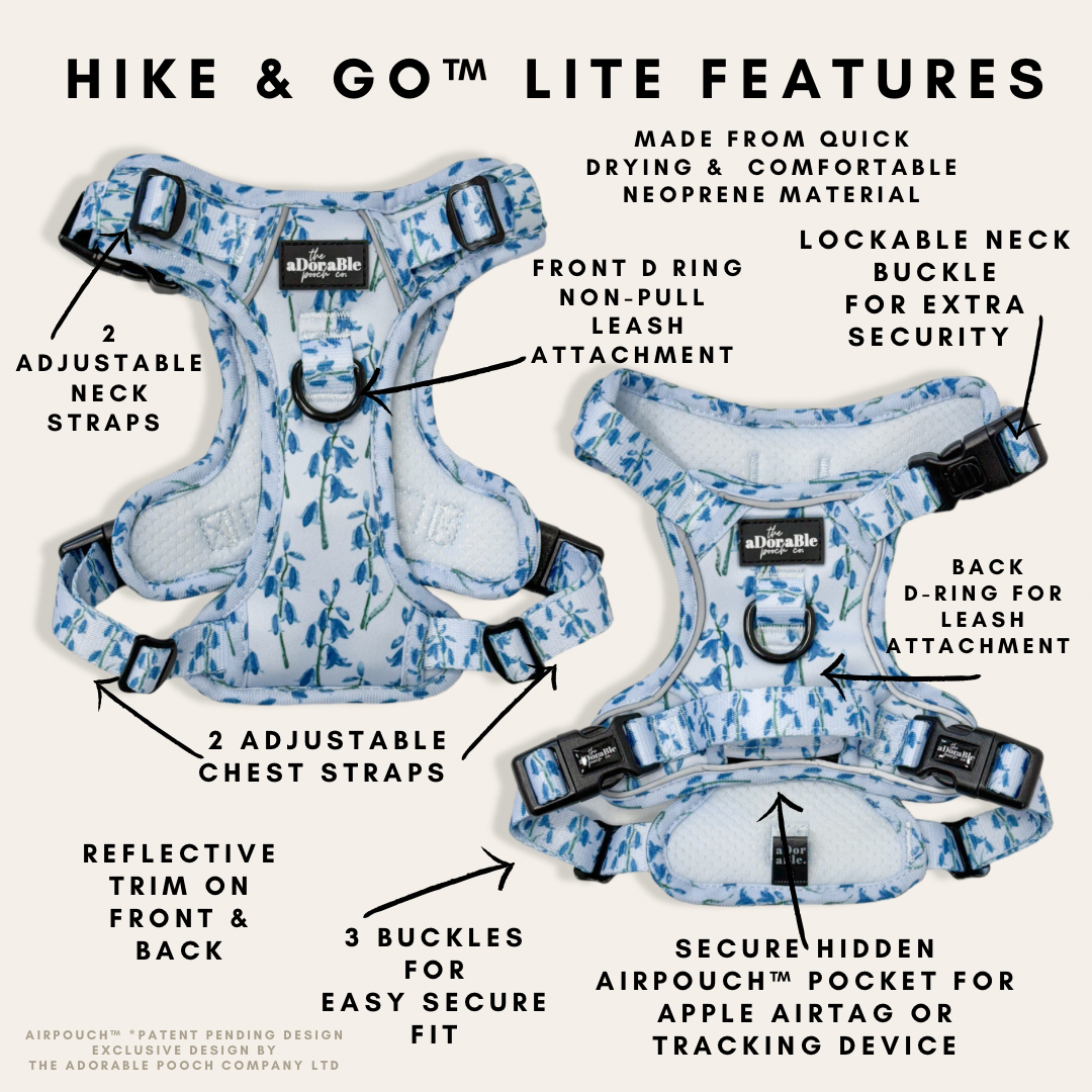 Hike & Go Lite™ Harness - Bluebell Bliss