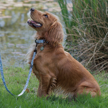 Dog Collar - Willow Waters