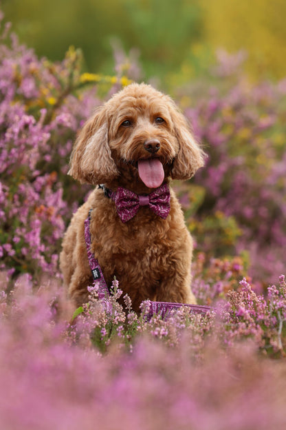 Bow Tie - Highland Heather