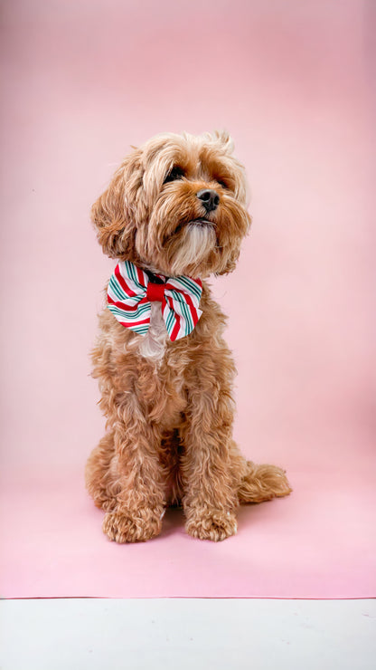 Sailor Bow Tie - Candy Cane Swirl