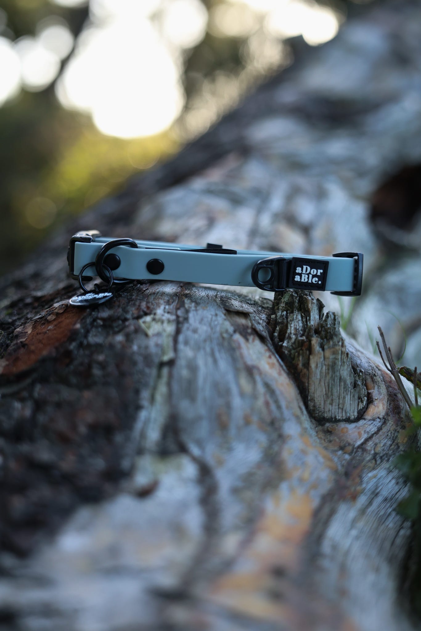 HydroFlex Lite™ Dog Collar - Sky Blue