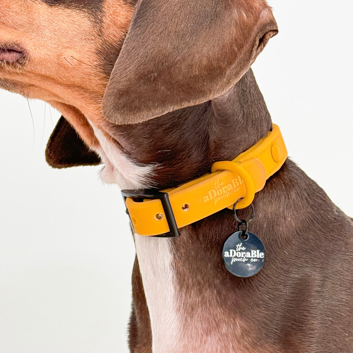 HydroFlex Waterproof Collar - Mustard Yellow