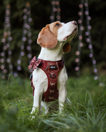 Hike & Go Lite™ Harness - Winter Fawn