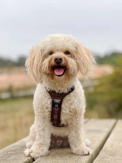 Streamline Pro™ Dog Harness - Heritage Collection - Truffle Brown