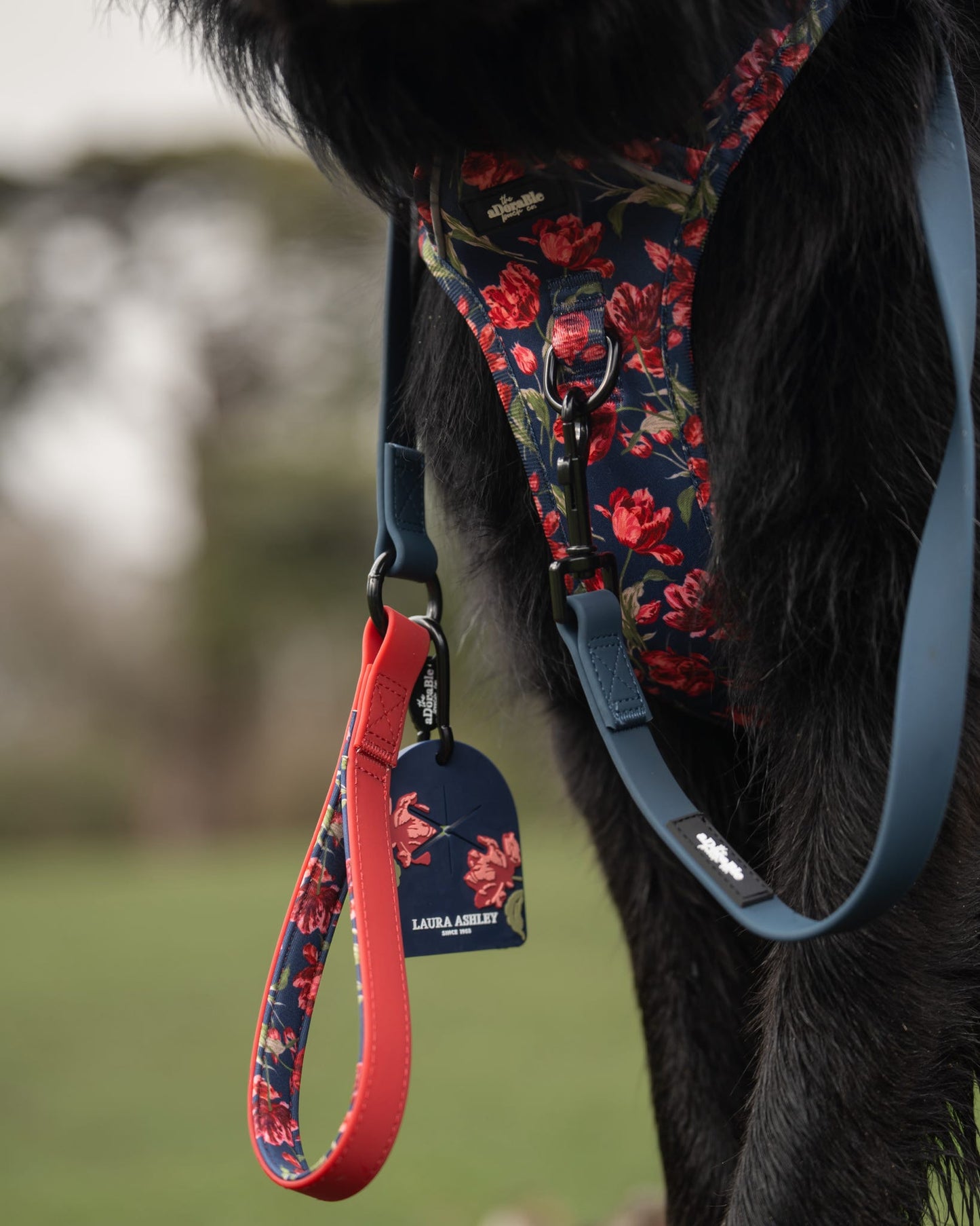 Laura Ashley Dog Harness - Gosford Meadow