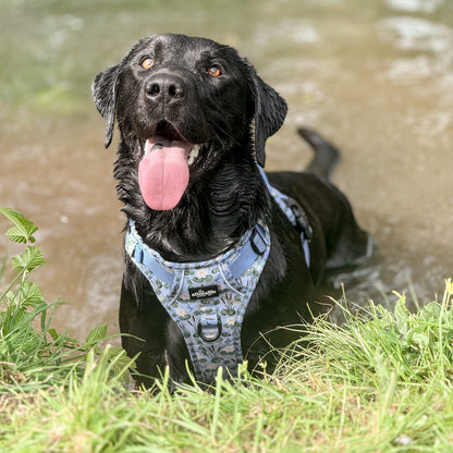 Hike & Go Lite™ Harness - Willow Waters