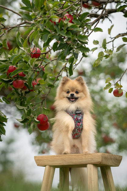 Hike & Go™ Harness - Crab Apple Cottage